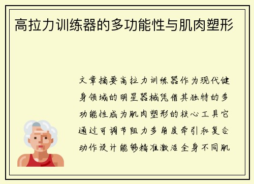 高拉力训练器的多功能性与肌肉塑形